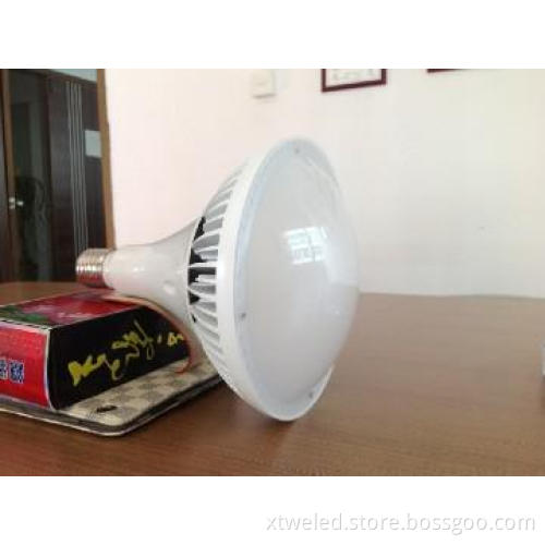 Mercury Lamp LED High Lumen Lighting
